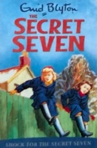 Shock for the Secret Seven