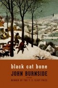 Джон Бернсайд - Black Cat Bone: Poems