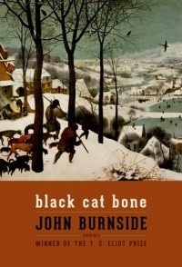Джон Бернсайд - Black Cat Bone: Poems