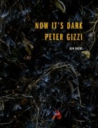 Питер Гиззи - Now It&#039;s Dark