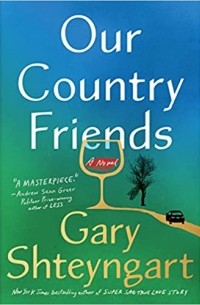 Gary Shteyngart - Our Country Friends