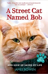 Джеймс Боуэн - A Street Cat Named Bob