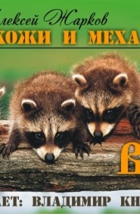 Мир кожи и меха