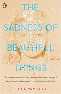 The Sadness of Beautiful Things