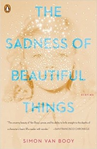 Саймон Ван Бой - The Sadness of Beautiful Things
