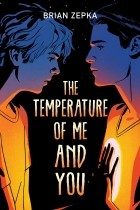 Brian Zepka - The Temperature of Me and You