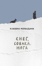 Клаудио Морандини - Снег, собака, нога