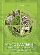Надежда Степанцова - Атлас растений западного побережья озера Байкал