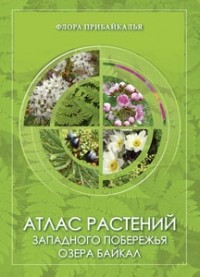 Надежда Степанцова - Атлас растений западного побережья озера Байкал