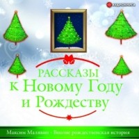 Максим Малявин - Вполне рождественская история