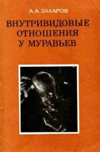 Внутривидовые отношения у муравьев