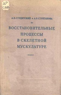  - Восстановительные процессы в скелетной мускулатуре