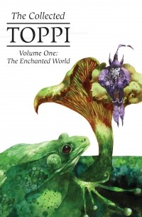 The Collected Toppi Vol 1 The Enchanted World