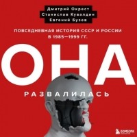  - Она развалилась. Повседневная история СССР и России в 1985-1999 гг.