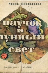 Паучок и лунный свет