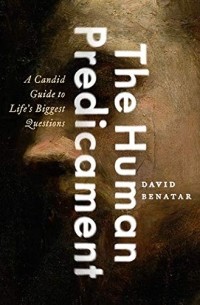 Дэвид Бенатар - The Human Predicament: A Candid Guide to Life's Biggest Questions