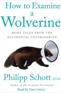 Филипп Шотт - How to Examine a Wolverine - More Tales from the Accidental Veterinarian