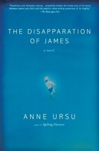 Энн Урсу - The Disapparation of James
