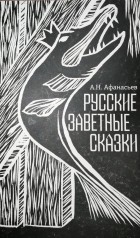 Александр Афанасьев - Русские заветные сказки