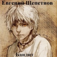 Евгений Щепетнов - Бандит