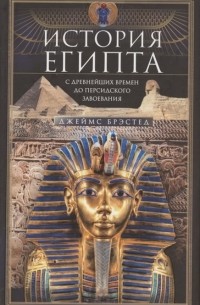Джеймс Генри Брэстед - История Египта с древнейших времен до персидского завоевания