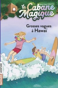 Grosses vagues à Hawaï