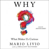 Марио Ливио - Why?