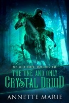 Аннетт Мари - The One and Only Crystal Druid