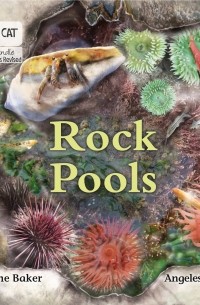 Rock Pools: Phase 3