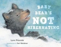  - Baby Bear's Not Hibernating