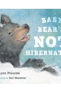  - Baby Bear's Not Hibernating