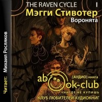 Книга Воронята — Мэгги Стивотер
