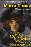 Мэгги Стивотер - Похитители снов