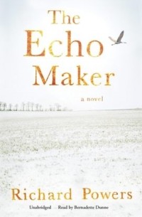 The Echo Maker