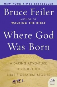 Брюс Фейлер - Where God Was Born: A Daring Adventure Through the Bible's Greatest Stories