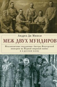 Андреа Ди Микеле - Меж двух мундиров. Италоязычные подданные Австро-Венгерской империи на Первой мировой войне и в русском плену