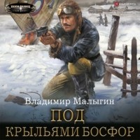 Владимир Малыгин - Под крыльями Босфор