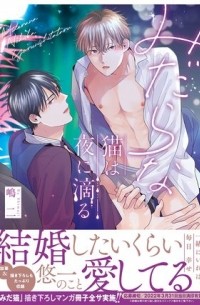 みだらな猫は夜に滴る / midara ne aneko wa yoru ni shitataru
