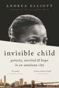 Андреа Эллиотт - Invisible Child: Poverty, Survival, and Hope in an American City
