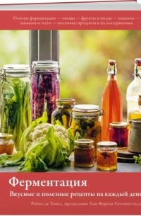 Рейчел Де Тампл - Ферментация. Вкусные и полезные рецепты на каждый день