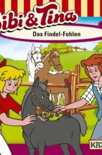 Ulf Tiehm - Bibi & Tina, Folge 39: Das Findel-Fohlen