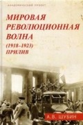 Мировая революционная волна (1918-1923). Прилив