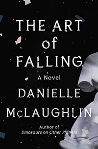 Danielle McLaughlin - The Art of Falling