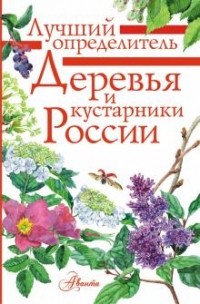 Ирина Пескова - Деревья и кустарники России. Определитель