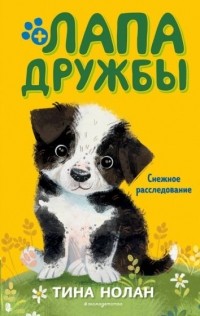 Тина Нолан - Снежное расследование