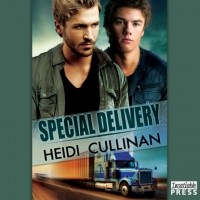 Хайди Каллинан - Special Delivery - Special Delivery, Book 1