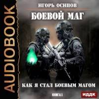 Игорь Осипов - Как я стал боевым магом