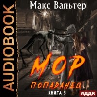 Макс Вальтер - МОР 3. Попаданец