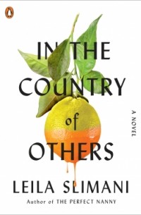Leïla Slimani - In the Country of Others