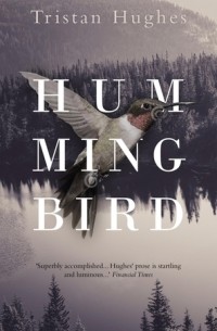 Тристан Хьюз - Hummingbird